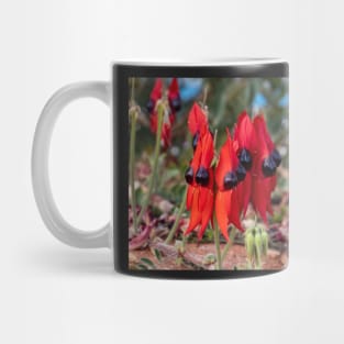 Sturt's Desert Pea, Outback South Australia Mug